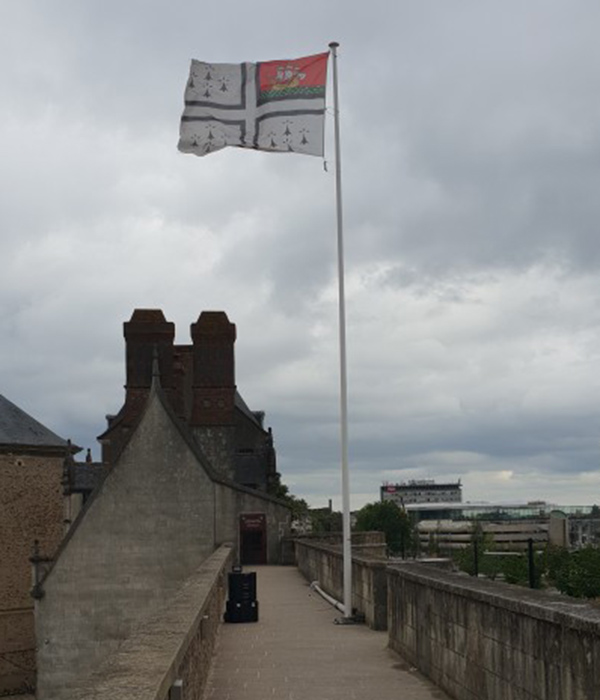 Asta per bandiera modello TF (Testa Fissa) | Deschamps